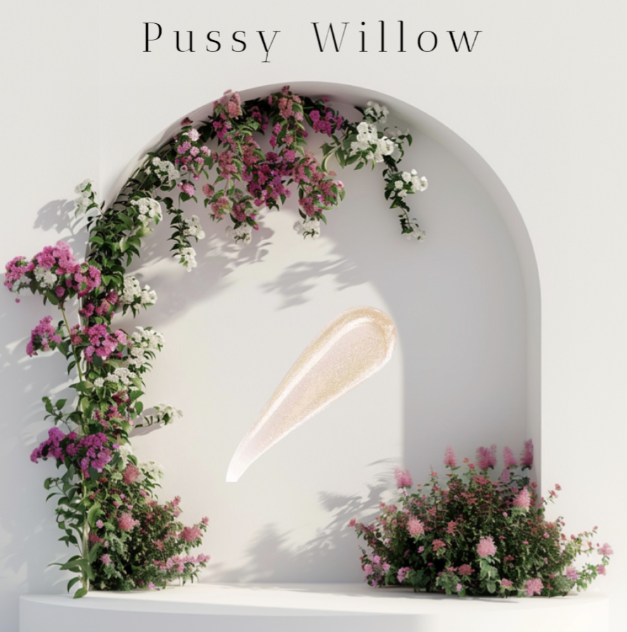 Pussy Willow