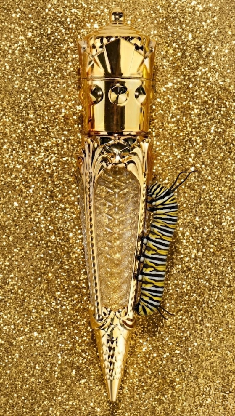 Pussy Willow